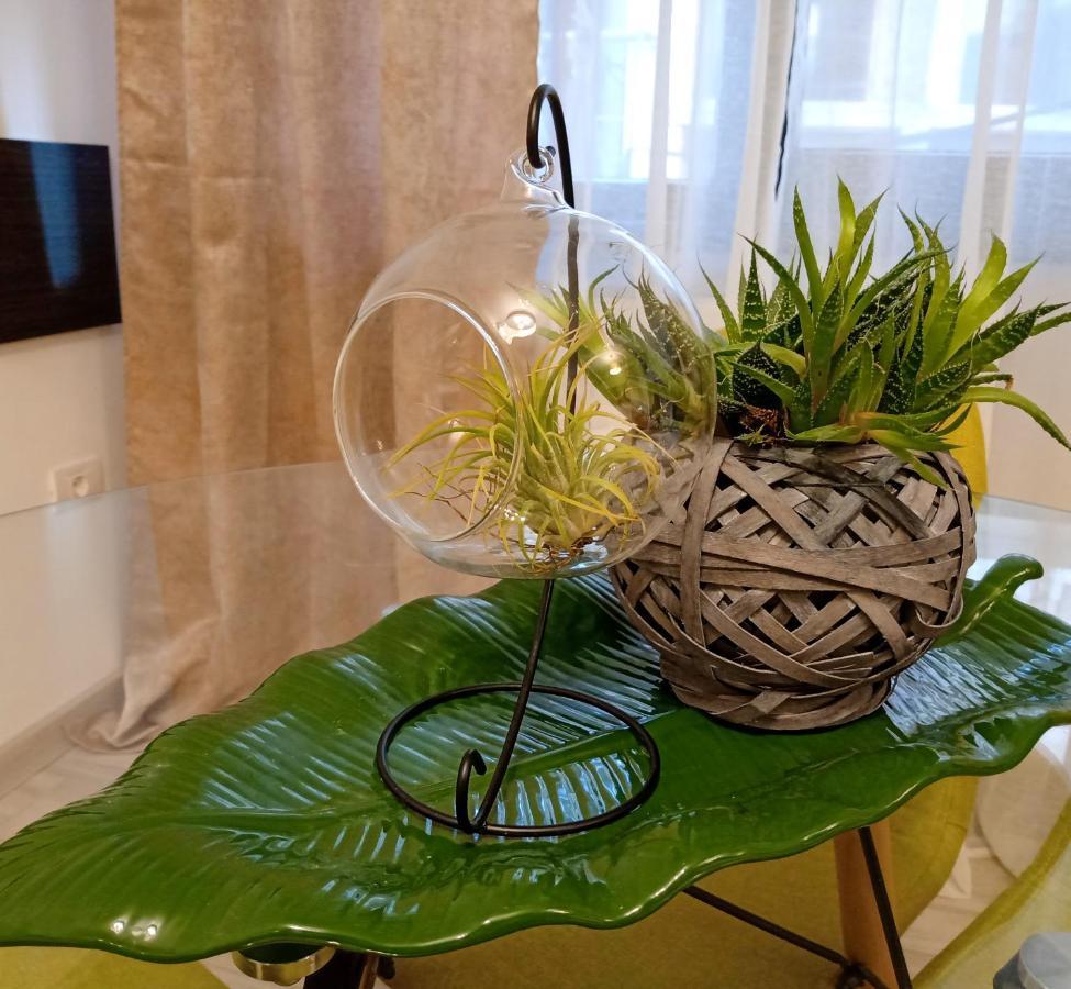 Ric Apartament Navodari Luaran gambar